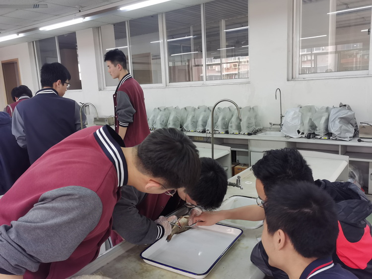 12_调整大小.jpg