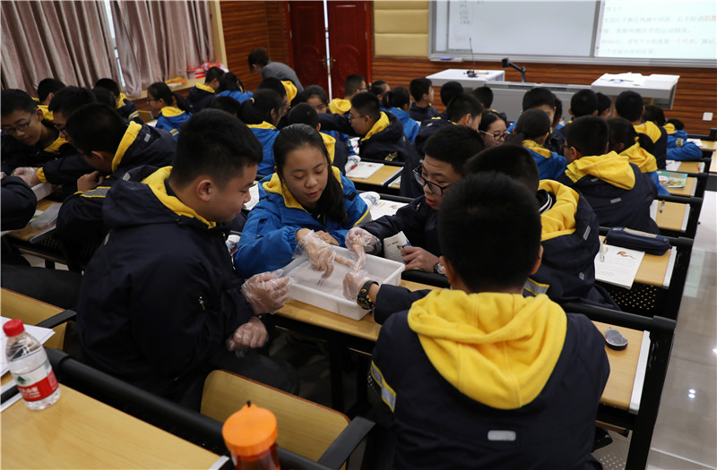 同学们探索鸡翅运动方式.JPG